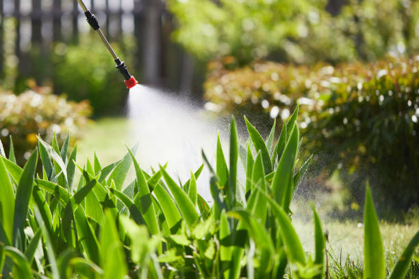 24/7 Emergency Wasp Removal experts in Brentwood, MD
