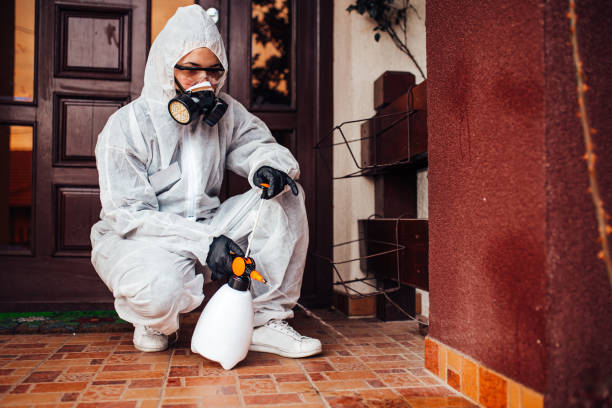 Reliable Wasp Removal contractor in Brentwood, MD by Show Me Pest Control