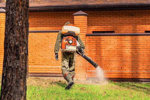 Top rated local Wasp Removal specialists in Brentwood, MD